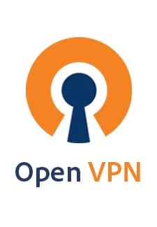 OpenVPN Torrent